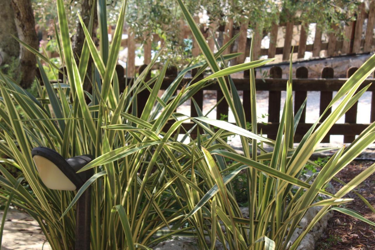 Amoru Bed & Breakfast Castro  外观 照片