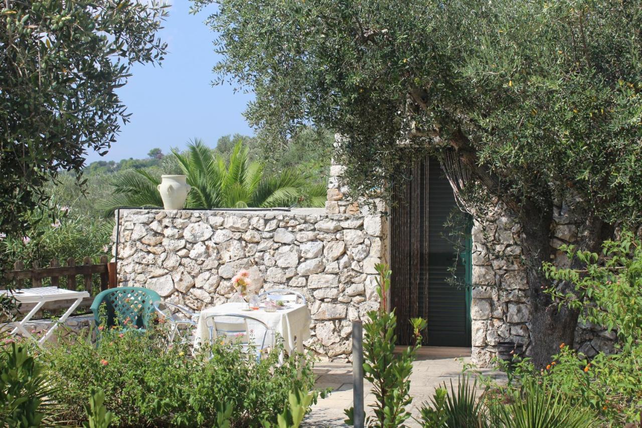 Amoru Bed & Breakfast Castro  外观 照片